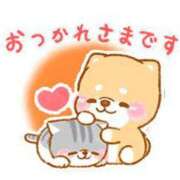 ヒメ日記 2024/12/28 21:30 投稿 みさと 待ちナビ