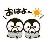 ヒメ日記 2025/01/02 07:49 投稿 みさと 待ちナビ