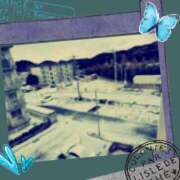 ヒメ日記 2025/01/10 08:31 投稿 みさと 待ちナビ