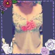 ヒメ日記 2025/03/16 08:58 投稿 みさと 待ちナビ