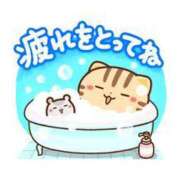 ヒメ日記 2025/04/16 21:15 投稿 みさと 待ちナビ