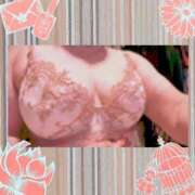 ヒメ日記 2025/04/27 11:55 投稿 みさと 待ちナビ