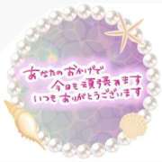 ヒメ日記 2025/05/13 08:54 投稿 みさと 待ちナビ