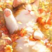 ヒメ日記 2025/06/14 00:35 投稿 みさと 待ちナビ