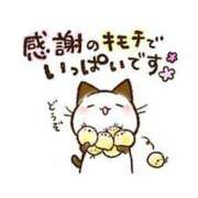 ヒメ日記 2025/08/04 00:55 投稿 みさと 待ちナビ