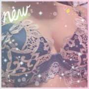 ヒメ日記 2025/11/08 07:49 投稿 みさと 待ちナビ