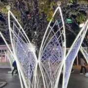 ヒメ日記 2025/11/11 20:25 投稿 みさと 待ちナビ