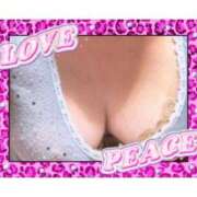 ヒメ日記 2025/12/16 23:55 投稿 みさと 待ちナビ