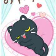 ヒメ日記 2025/12/31 01:00 投稿 みさと 待ちナビ