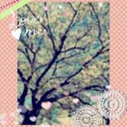 ヒメ日記 2026/04/09 11:05 投稿 みさと 待ちナビ