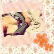 ヒメ日記 2026/04/14 08:26 投稿 みさと 待ちナビ