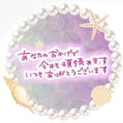ヒメ日記 2026/05/03 09:55 投稿 みさと 待ちナビ