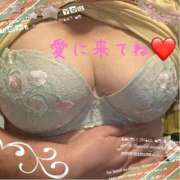 ヒメ日記 2026/10/13 08:15 投稿 みさと 待ちナビ