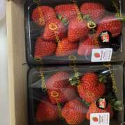 ヒメ日記 2026/03/22 16:59 投稿 桜井 多摩微熟女マッサージ