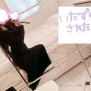 ヒメ日記 2025/02/17 08:02 投稿 戸田　ひまり AZITO V.I.P