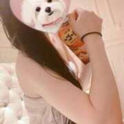 ヒメ日記 2025/03/31 15:05 投稿 戸田　ひまり AZITO V.I.P