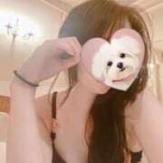 ヒメ日記 2025/04/03 14:57 投稿 戸田　ひまり AZITO V.I.P