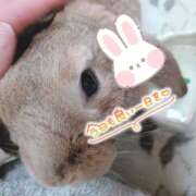 ヒメ日記 2026/07/27 07:13 投稿 戸田　ひまり AZITO V.I.P