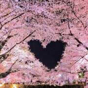 ヒメ日記 2026/04/16 18:59 投稿 みお 小田原人妻城