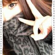 ヒメ日記 2026/01/25 17:15 投稿 神崎みやび コウテイ