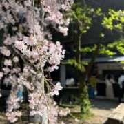 ヒメ日記 2026/04/01 10:35 投稿 神崎みやび コウテイ
