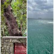 ヒメ日記 2025/02/09 08:54 投稿 桃香 李白（りぽ）