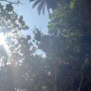 ヒメ日記 2025/03/03 17:11 投稿 桃香 李白（りぽ）