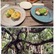 ヒメ日記 2025/05/11 16:40 投稿 桃香 李白（りぽ）