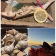 ヒメ日記 2025/11/05 17:12 投稿 桃香 李白（りぽ）