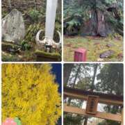 ヒメ日記 2025/12/01 08:50 投稿 桃香 李白（りぽ）