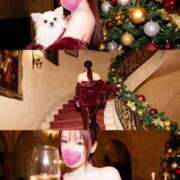 ヒメ日記 2025/12/11 08:21 投稿 桃香 李白（りぽ）