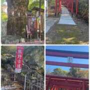 ヒメ日記 2025/12/17 18:50 投稿 桃香 李白（りぽ）