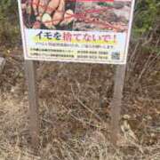 ヒメ日記 2026/04/01 15:52 投稿 桃香 李白（りぽ）