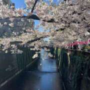 ヒメ日記 2026/04/03 19:23 投稿 桃香 李白（りぽ）