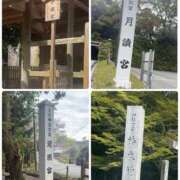 ヒメ日記 2026/04/17 13:24 投稿 桃香 李白（りぽ）