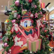 ヒメ日記 2024/12/21 18:21 投稿 綺粋 李白（りぽ）