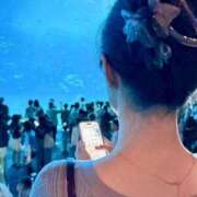 ヒメ日記 2026/04/01 00:04 投稿 綺粋 李白（りぽ）