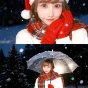 ヒメ日記 2026/02/19 14:27 投稿 宝麗 李白（りぽ）