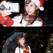 宝麗 🐇 李白（りぽ）