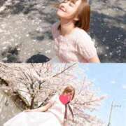 ヒメ日記 2026/03/17 14:12 投稿 宝麗 李白（りぽ）