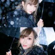 ヒメ日記 2026/03/17 14:46 投稿 宝麗 李白（りぽ）