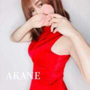 ヒメ日記 2025/02/17 02:50 投稿 茜 谷町人妻ゴールデン倶楽部