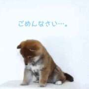 ヒメ日記 2025/03/03 09:05 投稿 茜 谷町人妻ゴールデン倶楽部