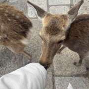 ヒメ日記 2025/04/07 23:20 投稿 茜 谷町人妻ゴールデン倶楽部