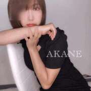 ヒメ日記 2025/09/04 06:20 投稿 茜 谷町人妻ゴールデン倶楽部