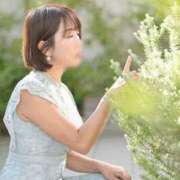 ヒメ日記 2025/11/16 02:05 投稿 茜 谷町人妻ゴールデン倶楽部