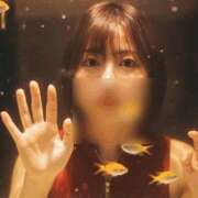 ヒメ日記 2025/12/15 08:30 投稿 茜 谷町人妻ゴールデン倶楽部