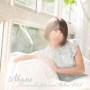 ヒメ日記 2026/05/14 12:45 投稿 茜 谷町人妻ゴールデン倶楽部