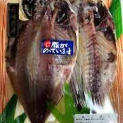 ヒメ日記 2026/08/20 08:22 投稿 あきら 奥様鉄道69 岡山店