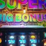 ヒメ日記 2025/02/10 21:49 投稿 せんり 奥様鉄道69 岡山店